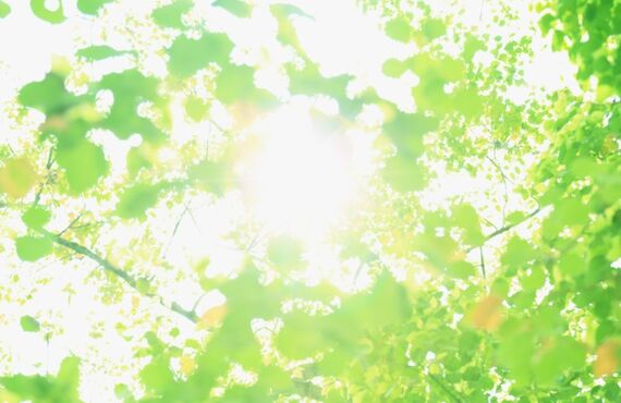 空気洗浄機能付きの業務用エアコンをご提案｜空調設備をご提案する株式会社エストック